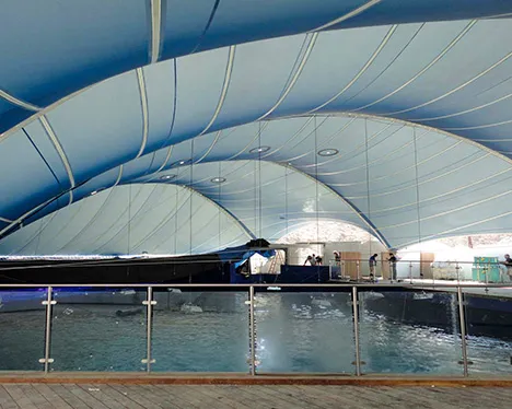 Coralworldeilat  Mosaico Web