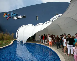 Palmaaquarium  Mosaico Web