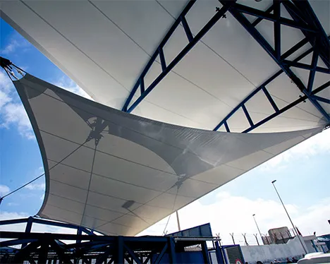 Pasofronterizotarajal  Mosaico Web